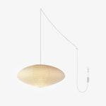 Bild in Gallery-Viewer laden, Mulberry Paper Plug-In Pendant Light