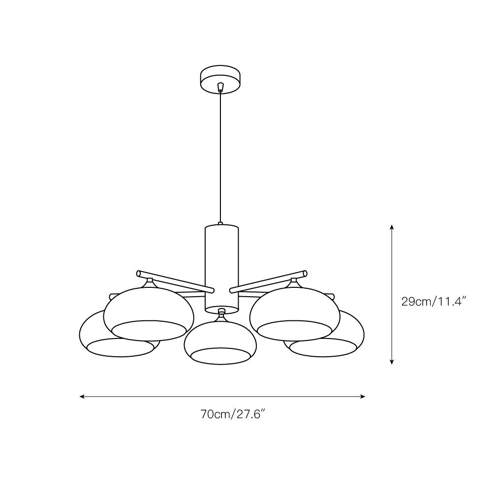 Elliptical Persimmon Chandelier