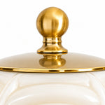 Charger l'image dans la visionneuse de galerie, Curved Brass Globe Shade Ribbed Glass Wall Sconce