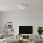 Charger l'image dans la visionneuse de galerie, Plafonnier minimaliste Mistaro en verre - Design affleurant pour salon et chambre