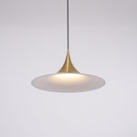 Bild in Gallery-Viewer laden, Arch-Shaped Aluminum Plug-In Pendant Light