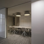 Charger l'image dans la visionneuse de galerie, Lampe de plafond Duo