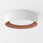 Cargar imagen en el visor de la Galería, Close Ceiling Diffused Shade Metal Canopy Semi-Flush Mount