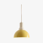 Bild in Gallery-Viewer laden, Rummia Artistic Flower Bud Pendant Lamp – Unique Form for Foyer or Bedroom