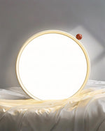 Load image into Gallery viewer, Geos LED Ceiling Light