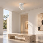 Charger l'image dans la visionneuse de galerie, Small Disc You Can Aim at a Reading Spot