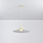 Bild in Gallery-Viewer laden, Arch-Shaped Aluminum Plug-In Pendant Light