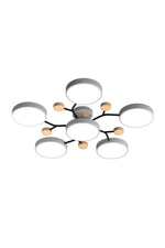 Load image into Gallery viewer, Multihead Disc Morandi Color Branch Ceiling Light

