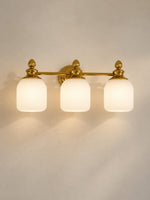 Load image into Gallery viewer, Modern Frosted Glass Vanity Light
