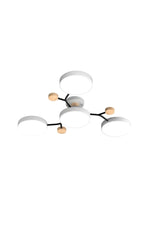 Load image into Gallery viewer, Multihead Disc Morandi Color Branch Ceiling Light
